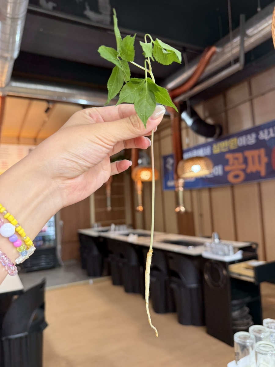 힐링생고기 사진 6