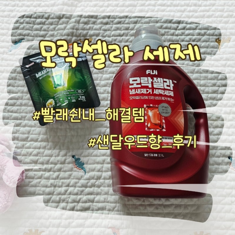 여름철 수건 쉰냄새 세제 추천 | 샌달우드향 모락셀라 세탁세제 후기