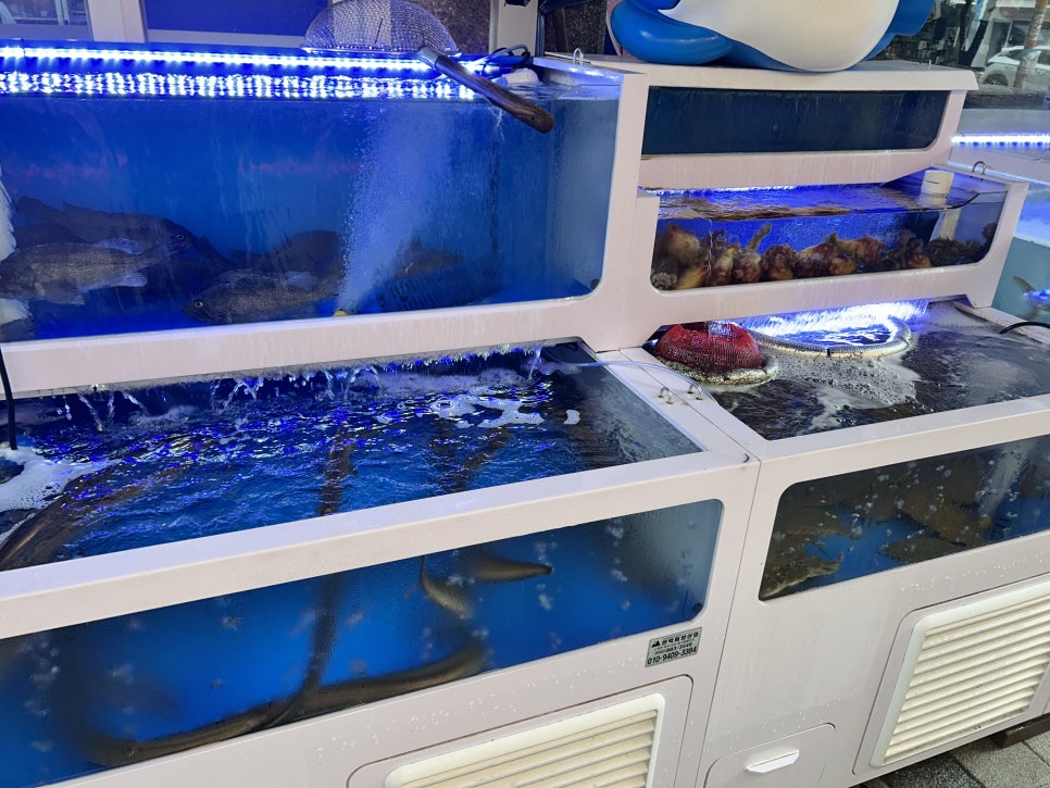 조아회조아 본점 사진 5