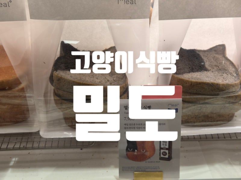 [잠실 롯데백화점 빵집] 밀도 신메뉴 얼룩고양이식빵, 단호박 고구마 오트 통밀 후기