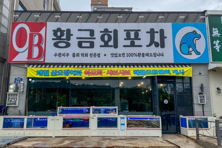 황금회포차 수완지구점 사진 4
