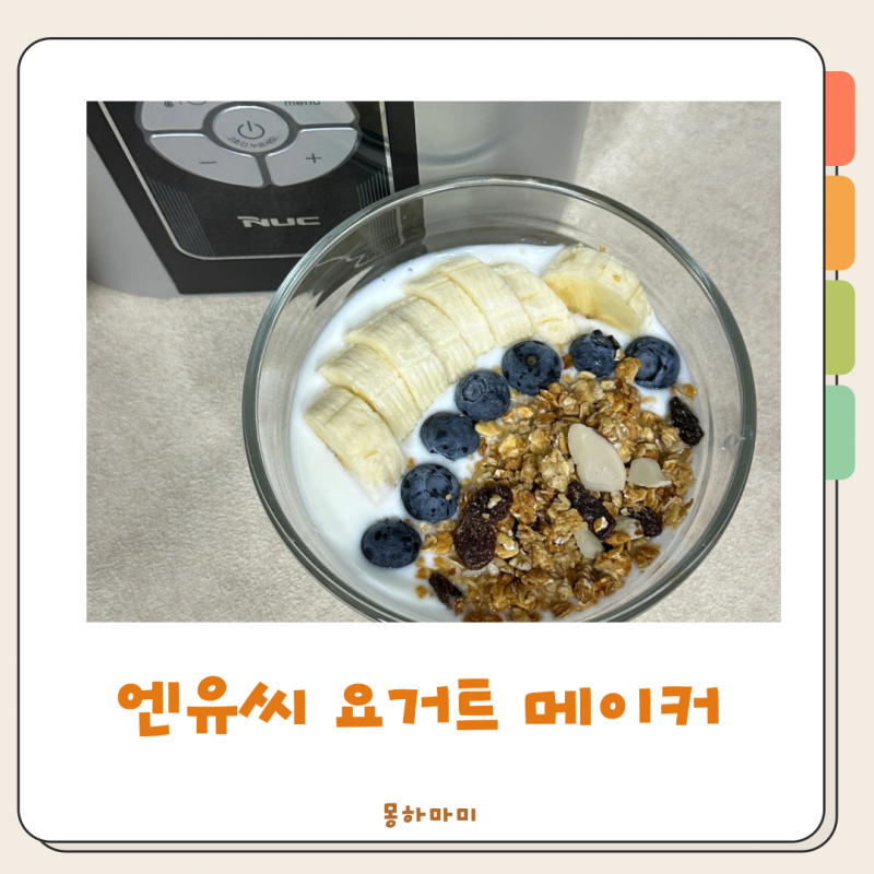 엔유씨 요거트메이커로 만드는 건강한 아기 아침 요거트 식단