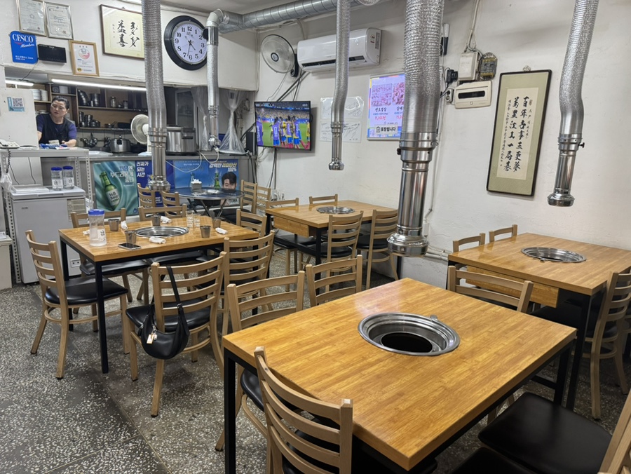 부산갈매기 사진 2
