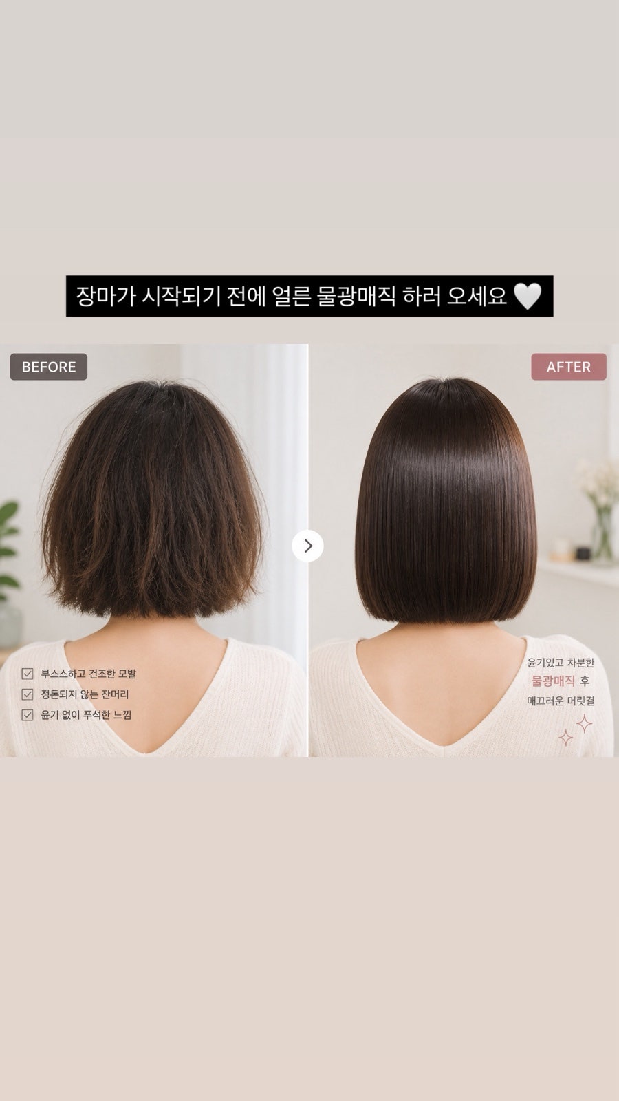 단비 사진 3