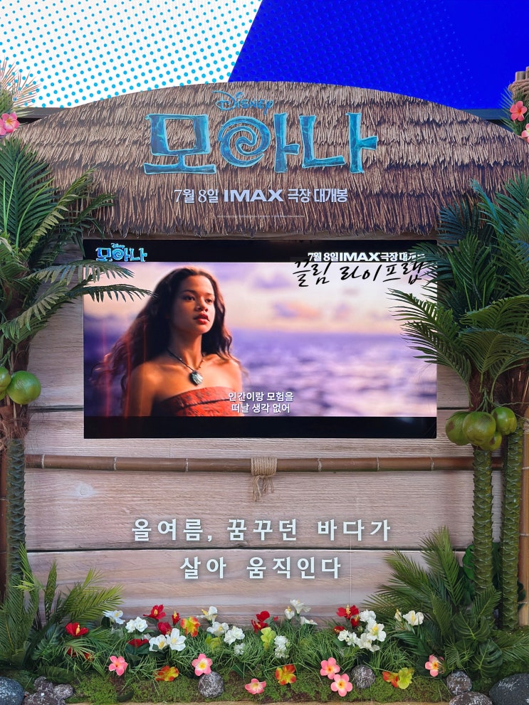 <b>박스오피스 1위</b> <b>모아나</b> 실사판 영화 개봉 출연진 이벤트