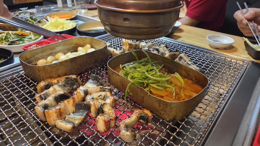 용장어 사진 6
