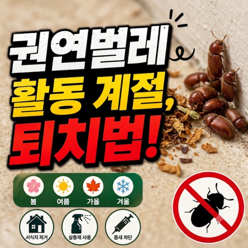 권연벌레 생기는 이유, 권연벌레 활동 계절, 퇴치법!