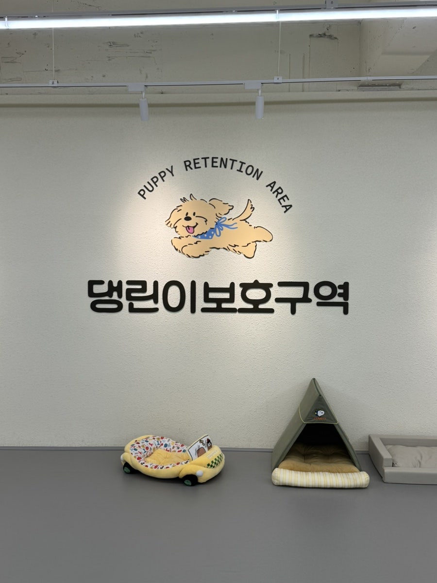 댕린이보호구역 사진 1