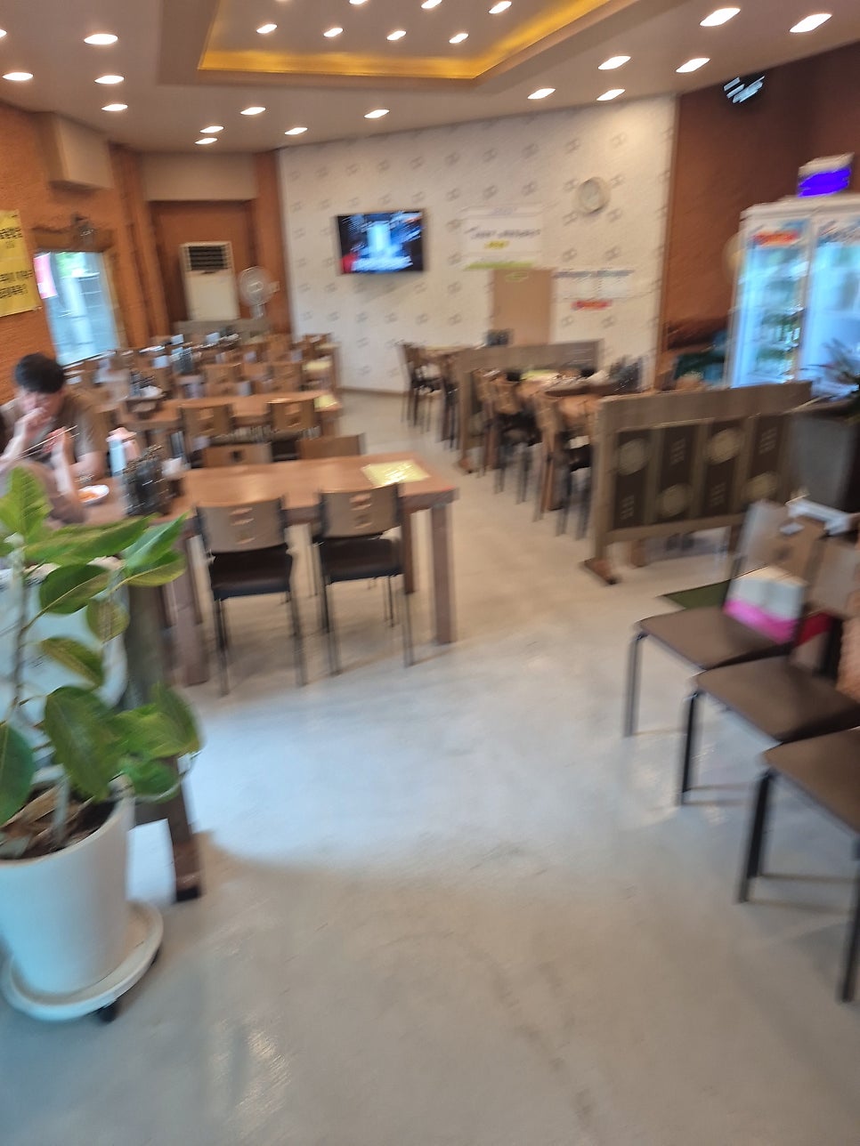 진향 사진 4