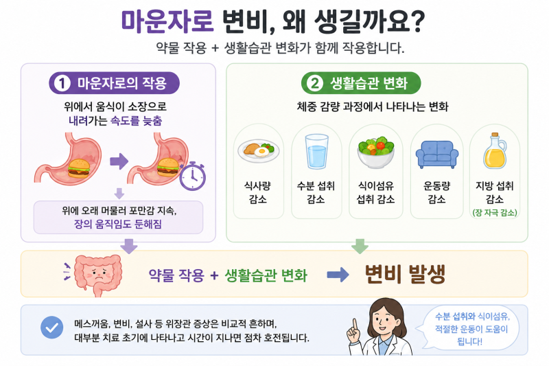 마운자로 변비, 왜 생길까요? 약사가 알려주는 해결방법과 변비약 선택법