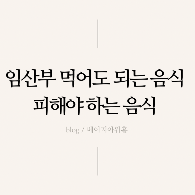임산부가 먹어도 되는 음식과 먹으면 안되는 음식, 임산부 식단(회/커피/팥/파인애플/치즈)