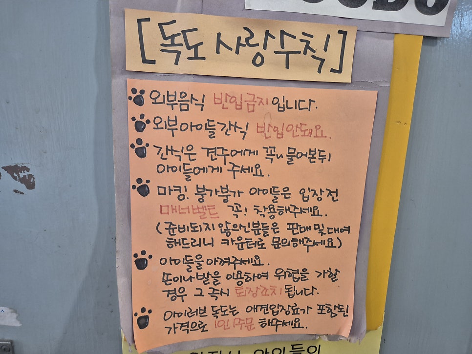 아이러브독도 사진 4
