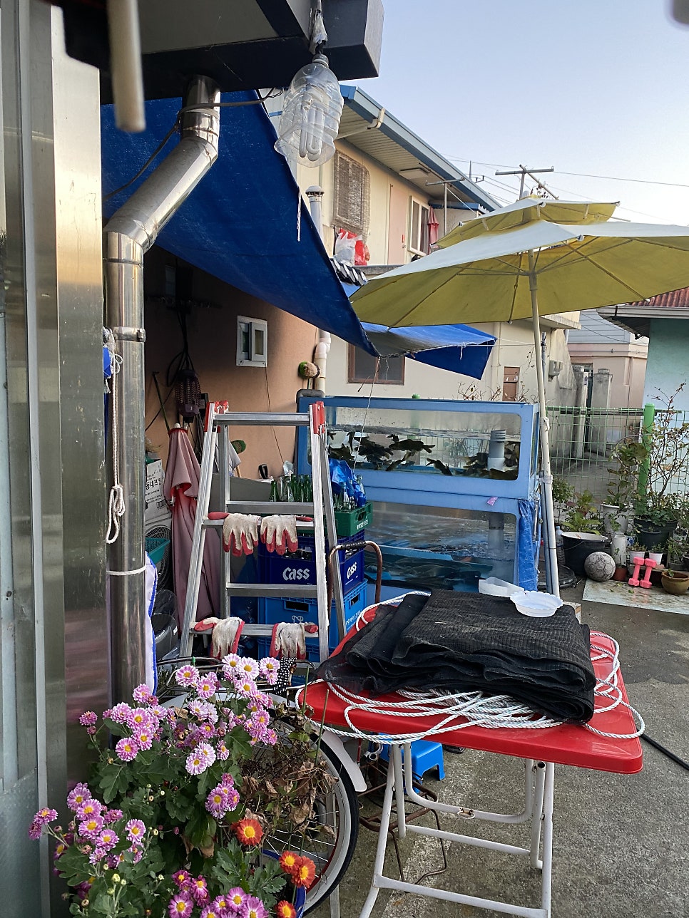 금천식당 사진 4