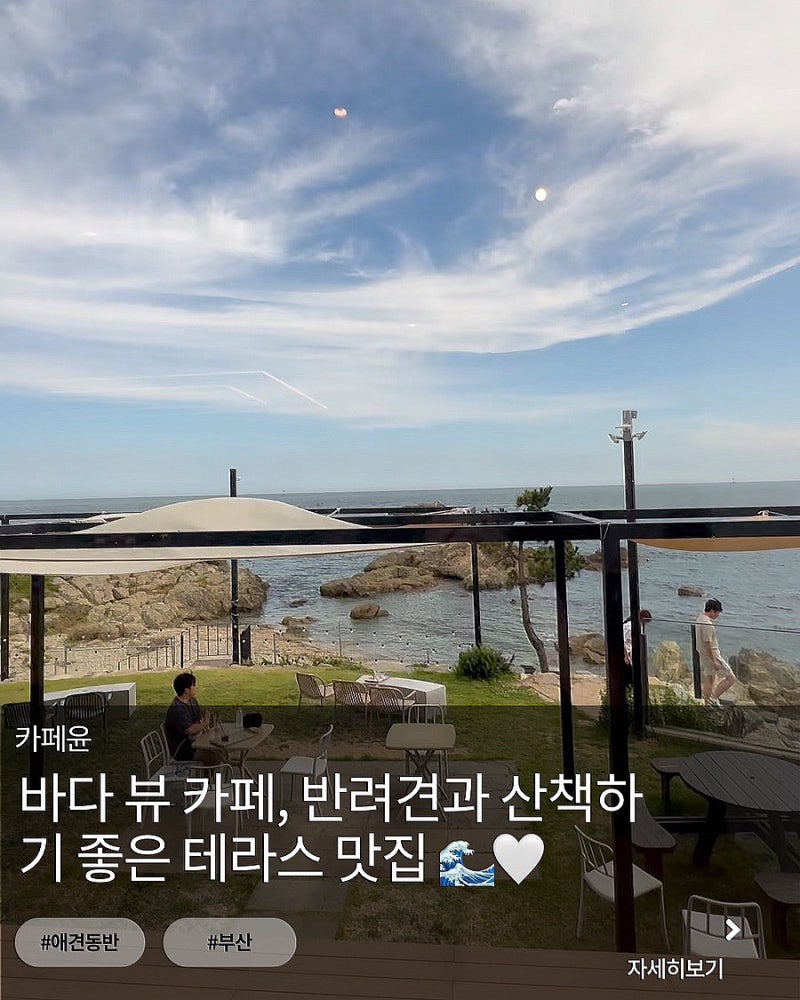 [부산 기장] 바다 뷰 카페, 반려견과 산책하기 좋은 테라스 맛집 '카페윤'