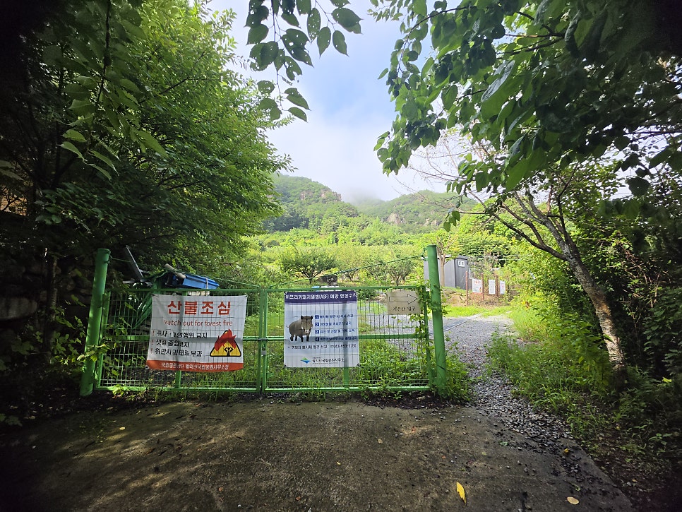 가은산 사진 5