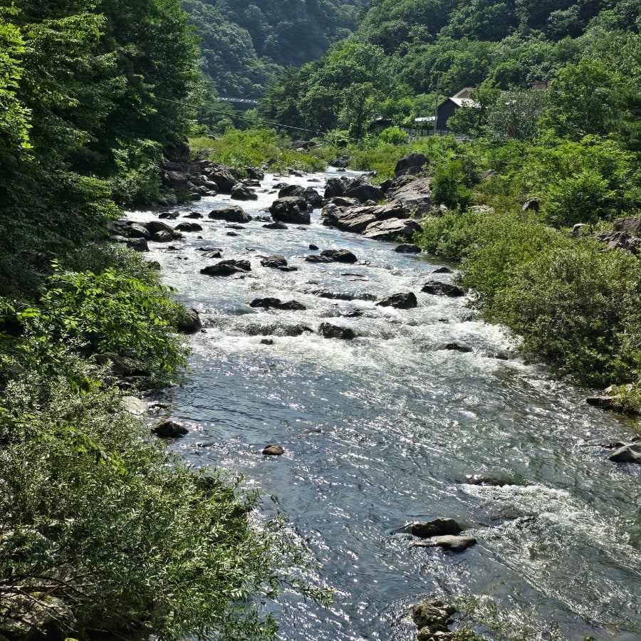 운장산 사진 4