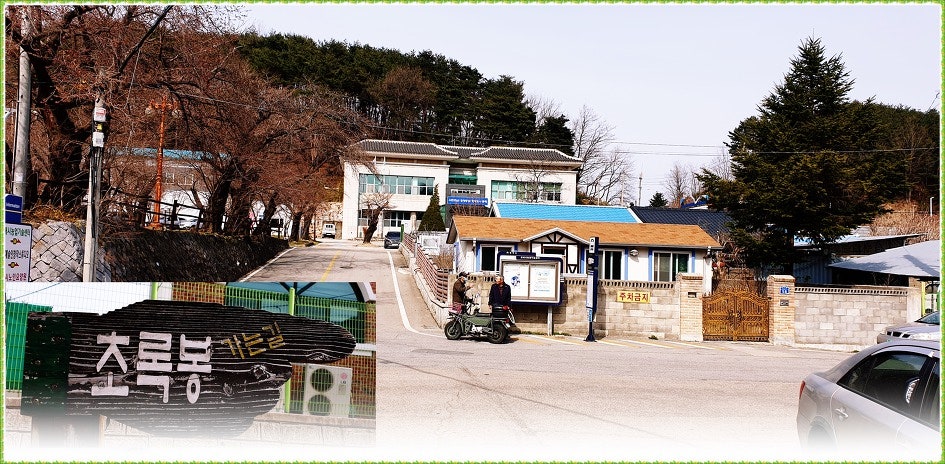 초록봉 사진 3
