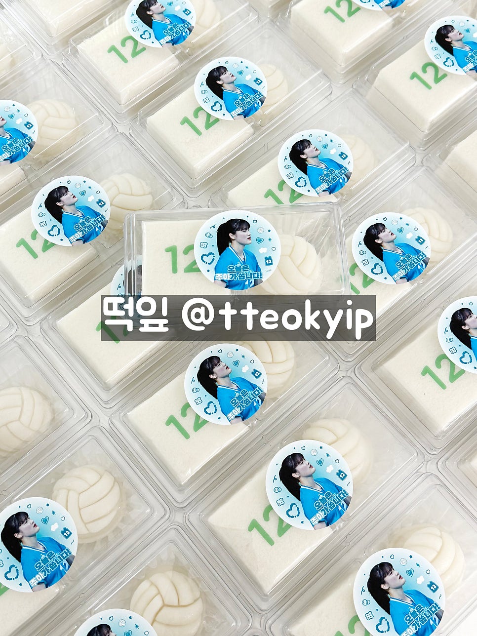떡잎 사진 4