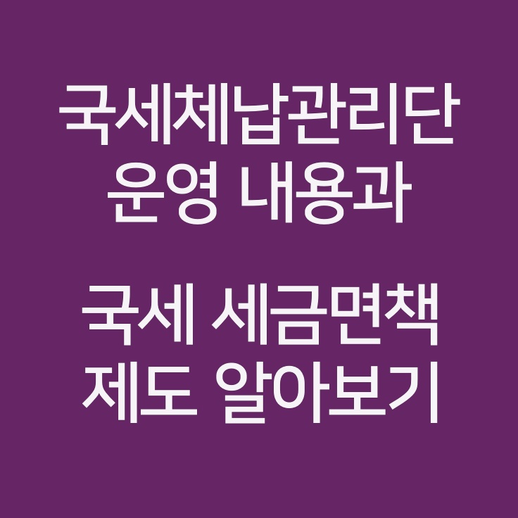 국세체납과 국세외수입<b>체납 관리단 출범</b>에 따른 세금면책... 