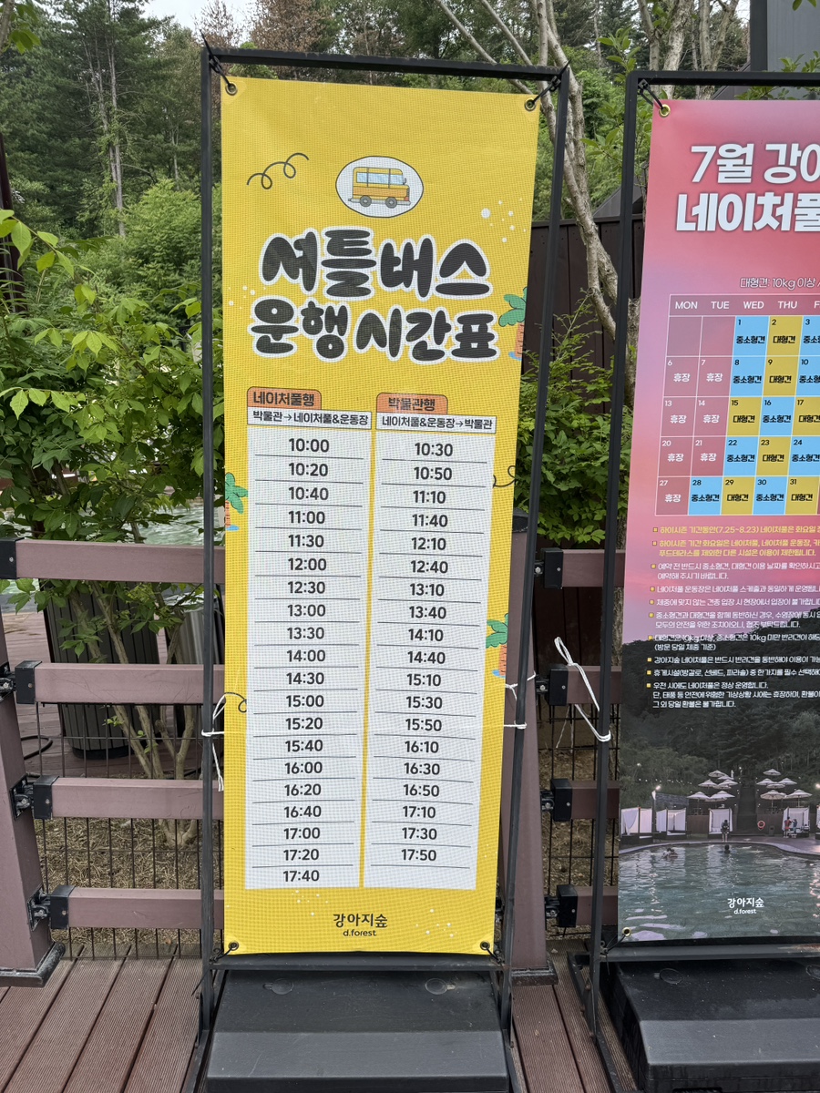 강아지숲 사진 4