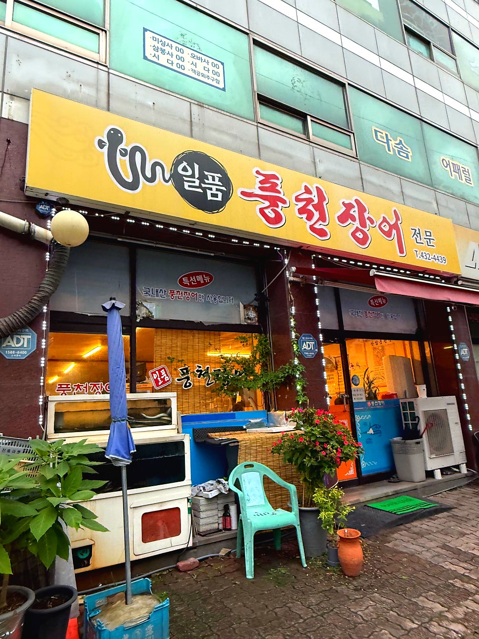 풍천장어 사진 1