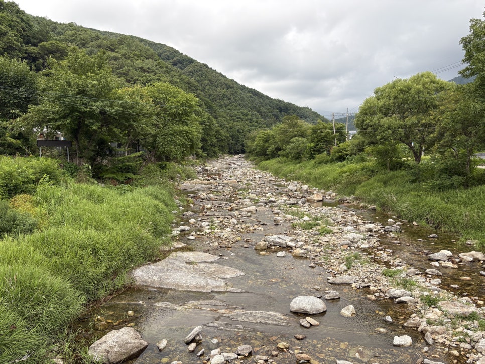 Gapyeong Daengdaengiaegyeonpensyeon Silbeo photo 4