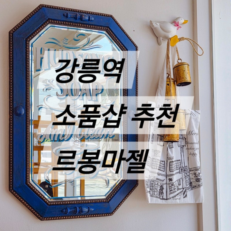 강릉 소품샵 추천 - 르봉마젤 (그릇, 종류, 가격)