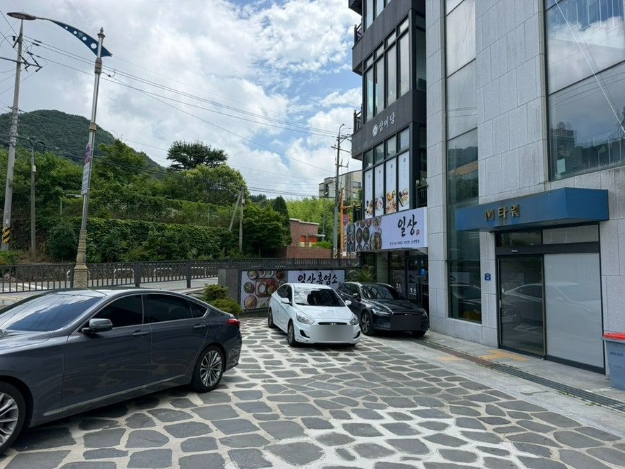 일상흑염소 사진 3