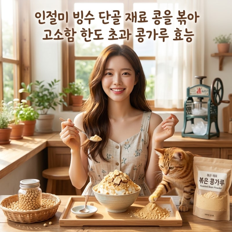 인절미 빙수 단골 재료 콩을 볶아 고소함 한도 초과 콩가루 효능