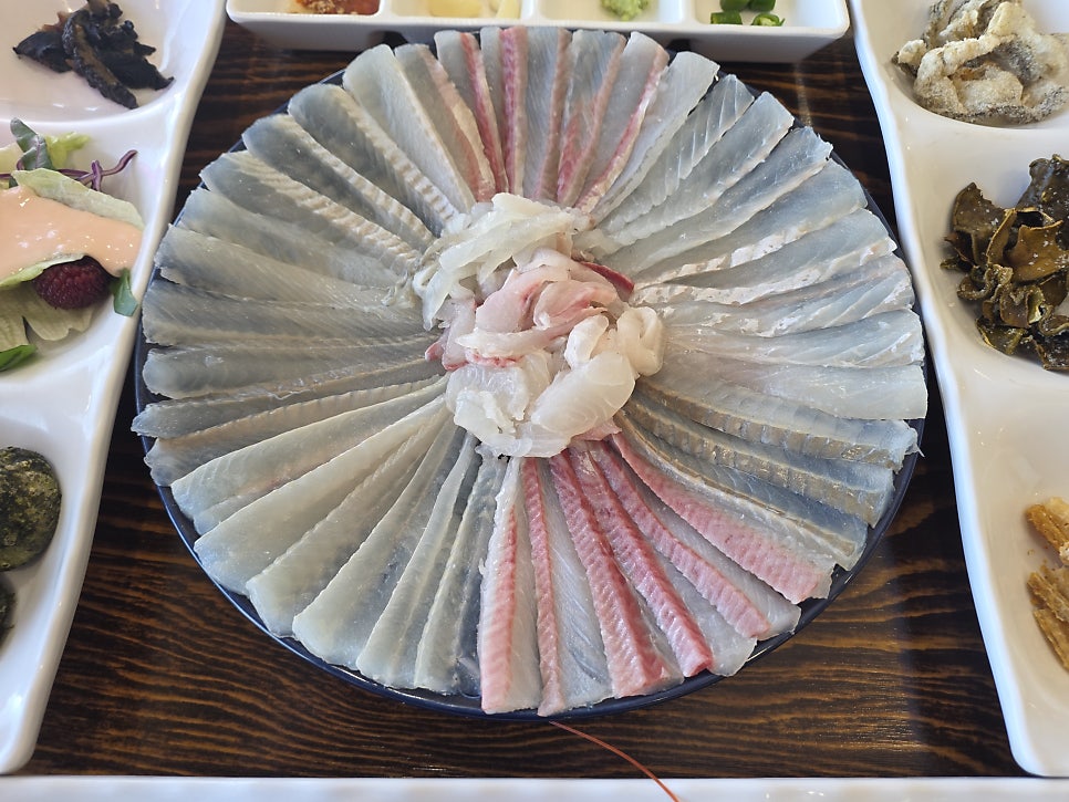 칠암거북 사진 6