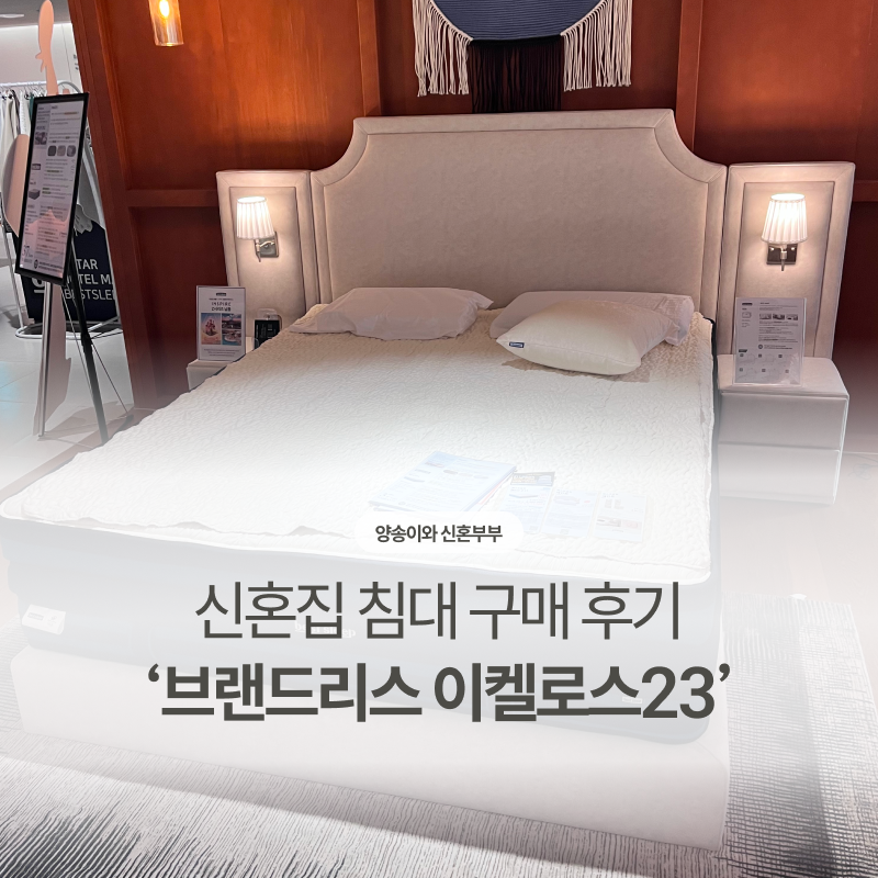 브랜드리스 매트리스 후기 – 모피어스 보러 갔다가 이켈로스23 계약한 이유