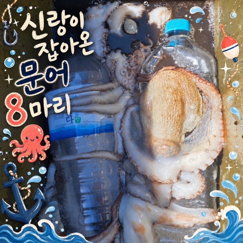 통영 문어낚시 송현피싱 솔직 후기｜가격·시설·문어 조황과 문어요리