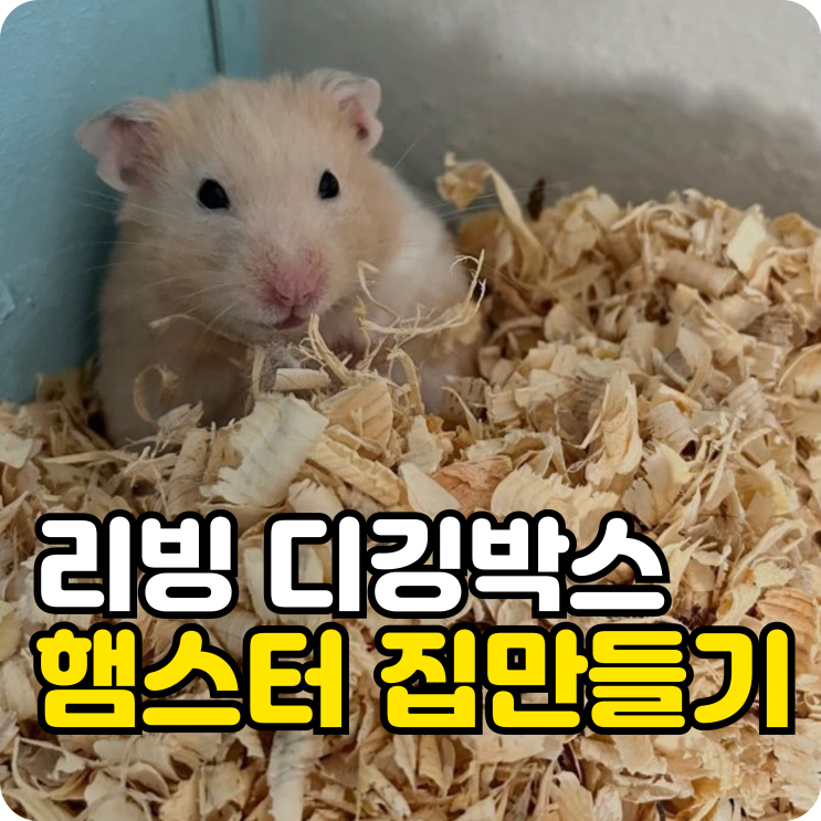 "맨날 벽만 갉아<b>대서</b>..." 햄스터 집만들기 리빙박스 디깅박스 필수