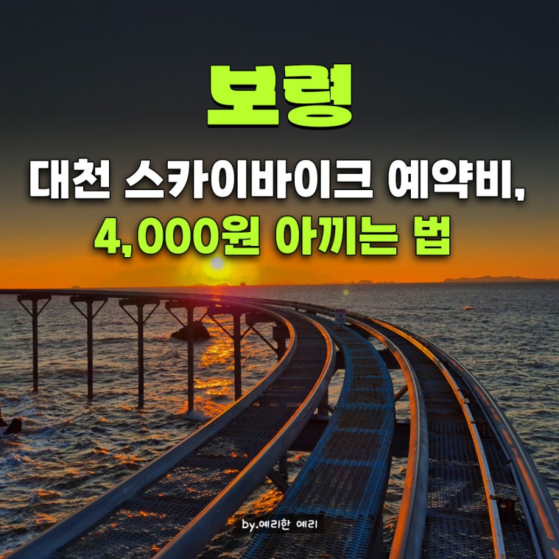 대천해수욕장 스카이바이크 할인받고 타러가기｜보령 대천해수욕장 가볼만한곳,대한민국 ....