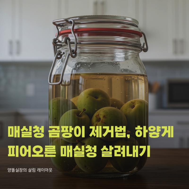 매실청 곰팡이 제거법, 하얗게 피어오른 매실청 살려내기 위한 실전 프로세스