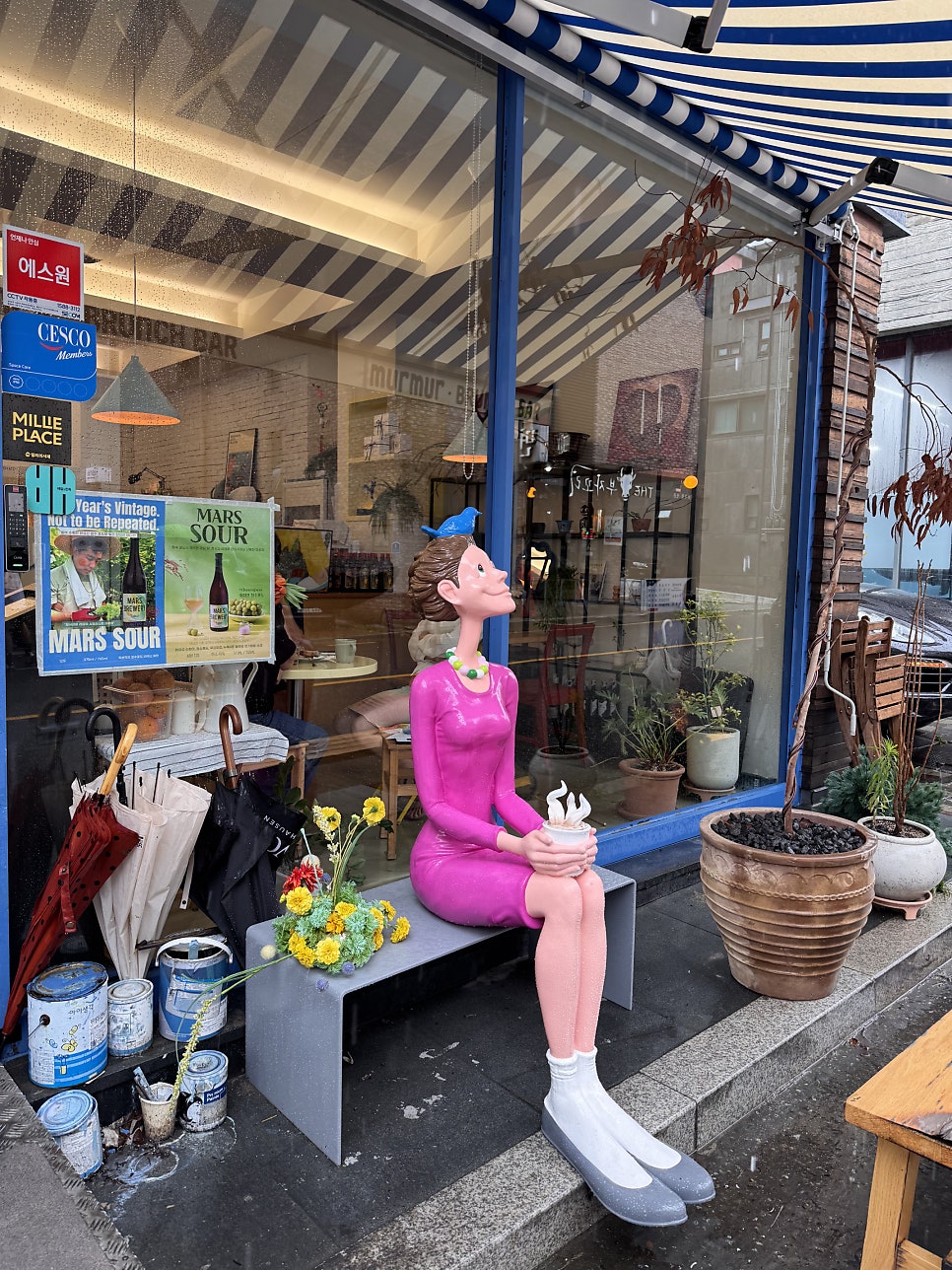 멀멀 판교 사진 5