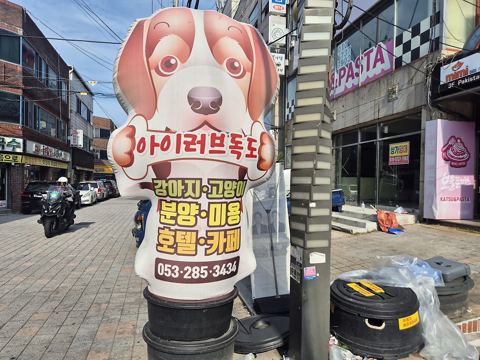 아이러브독도