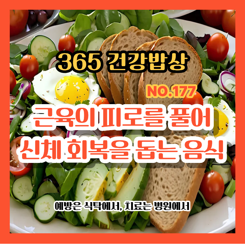 [365건강밥상] #177 근육의 피로를 풀어 신체 회복을 돕는 음식