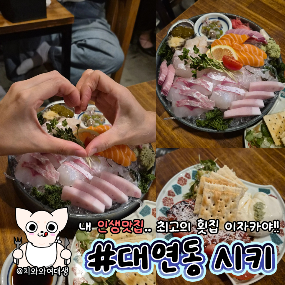 시키 사진 1