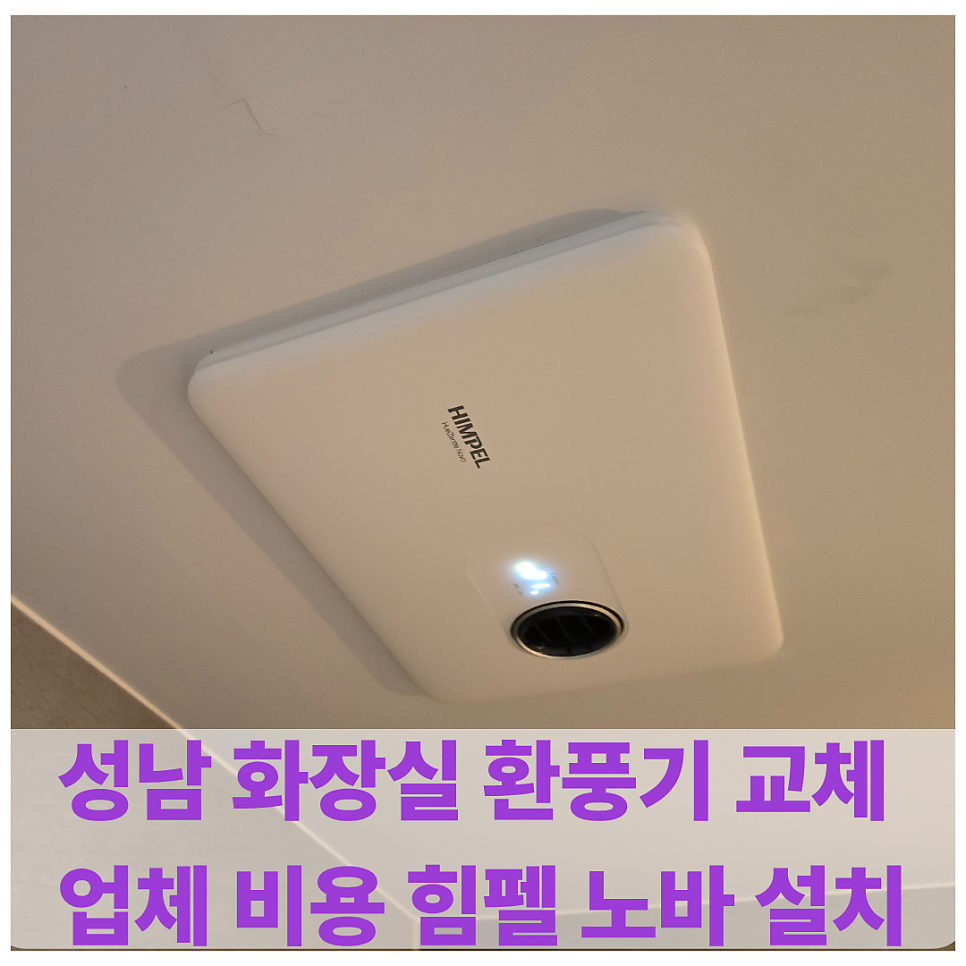노바 사진 1