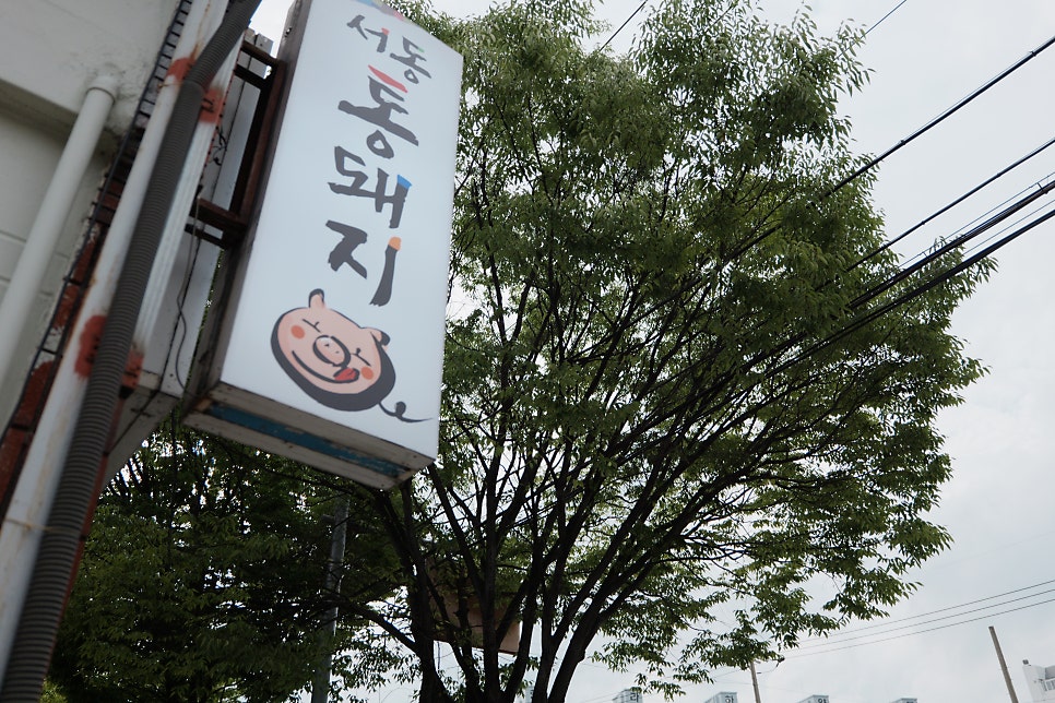 서동통돼지 사진 2