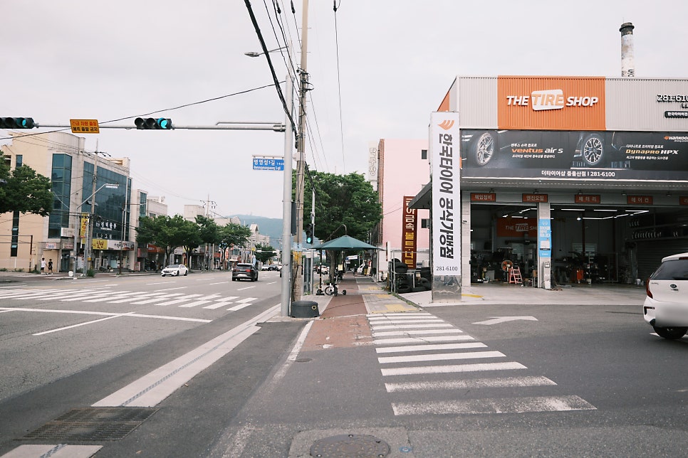 서동통돼지 사진 3