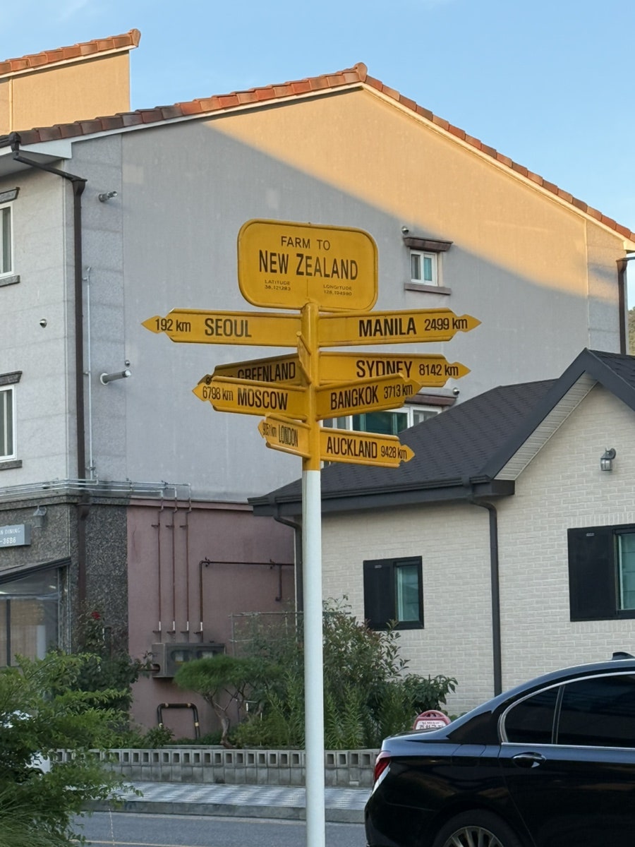 팜투뉴질랜드 사진 3