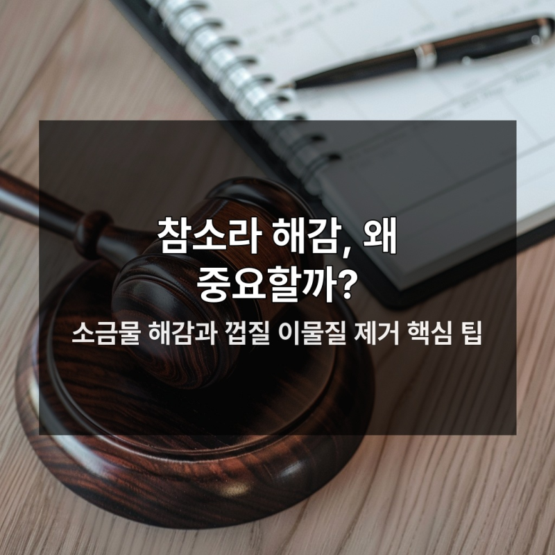 참소라 해감 안 하면 올여름 큰 손해 보는 이유