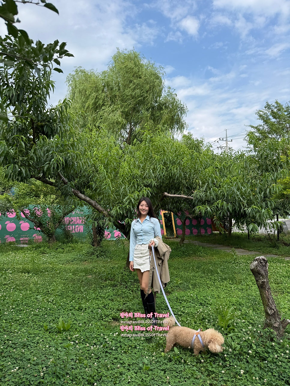옐로우마운틴 사진 3