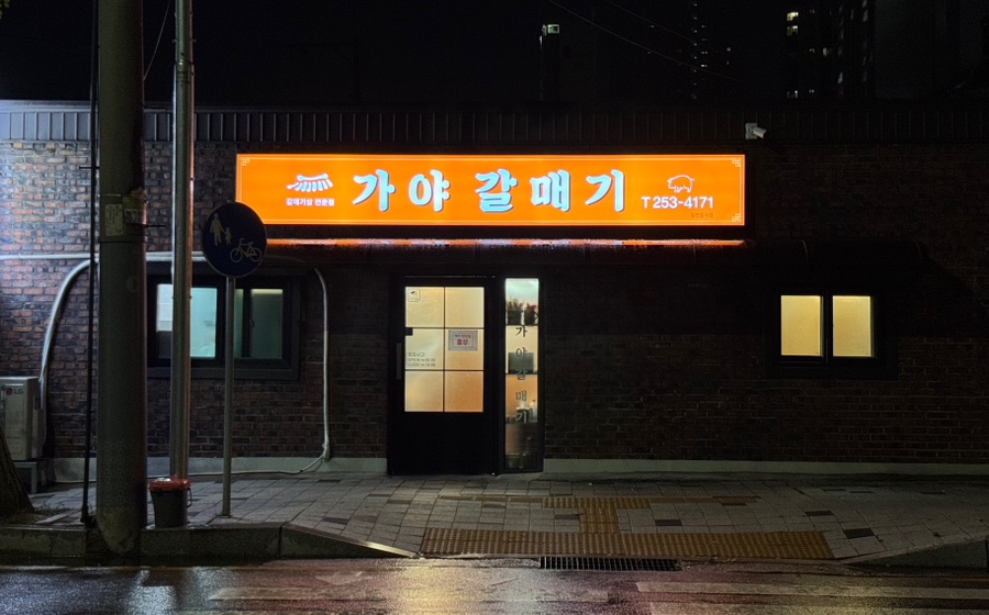 가야갈매기 사진 2