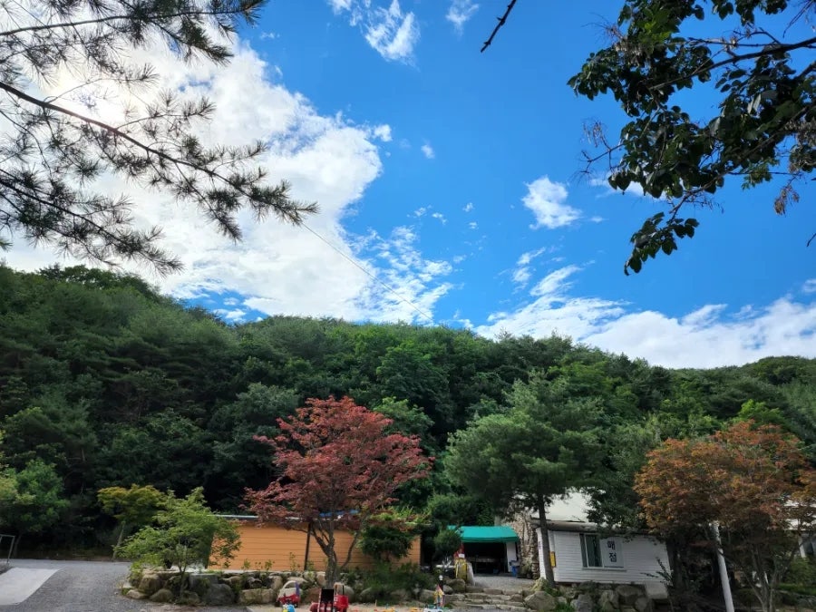 돌집야영장 사진 1