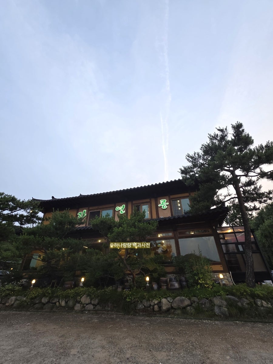 자연콩 사진 2