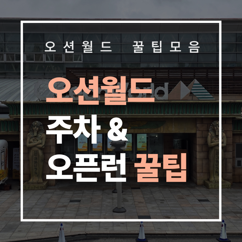 [오션월드 후기] 오션월드 오픈런 방문기 : 주차장 꿀팁, 락커 요금, 인파 후기