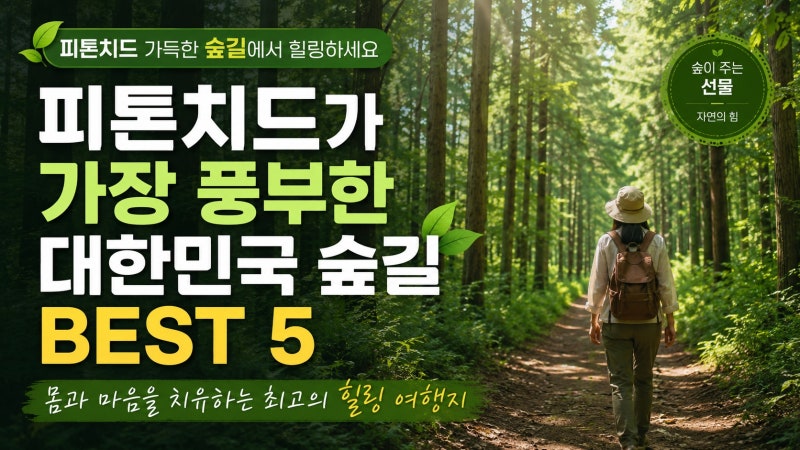피톤치드가 가장 풍부한 대한민국 숲길 BEST 5, 몸과 마음을 치유하는 최고의 힐링 여행지